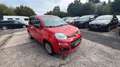 Fiat Panda Easy Rot - thumbnail 3