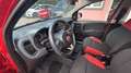 Fiat Panda Easy Rot - thumbnail 8