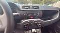 Fiat Panda Easy Rot - thumbnail 9