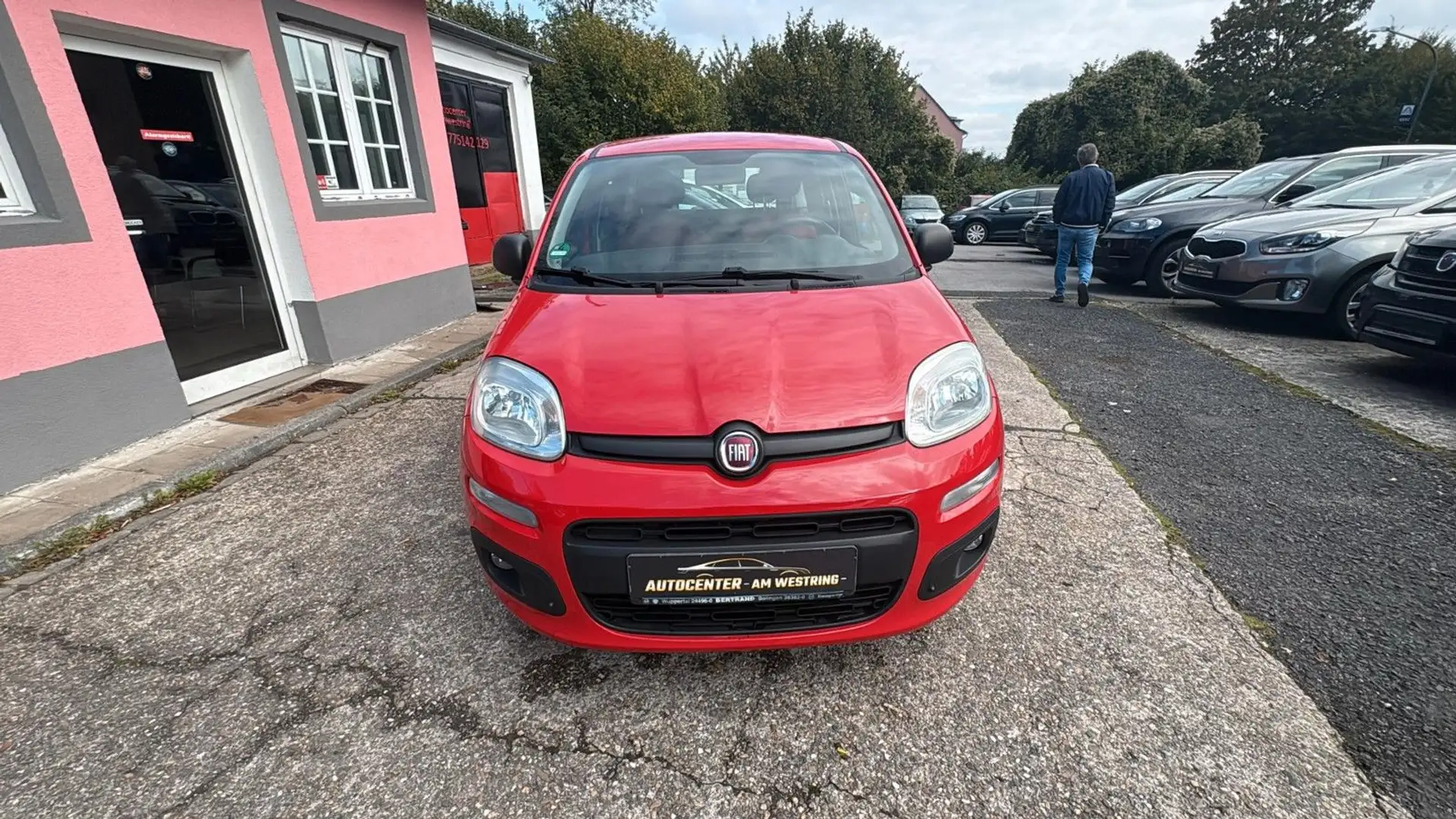 Fiat Panda Easy Rot - 2