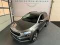 Skoda Karoq 1.5 TSI ACT Business Edition Automaat, Camera 1 Ja Grijs - thumbnail 4