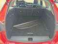 Opel Astra 1.6 D (CDTI) Sports Tourer Dynamic BTW/VAT Rood - thumbnail 12