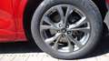 Ford Kuga ST-Line X PHEV Rot - thumbnail 2
