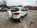 Ford EcoSport 1.0 ecoboost Titanium s/ruot.esterna 125cv Bianco - thumbnail 5