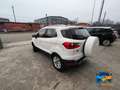 Ford EcoSport 1.0 ecoboost Titanium s/ruot.esterna 125cv Bianco - thumbnail 3