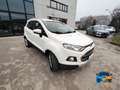 Ford EcoSport 1.0 ecoboost Titanium s/ruot.esterna 125cv Bianco - thumbnail 7