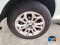 Ford EcoSport 1.0 ecoboost Titanium s/ruot.esterna 125cv Bianco - thumbnail 15