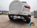 Ford EcoSport 1.0 ecoboost Titanium s/ruot.esterna 125cv Blanc - thumbnail 22