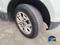 Ford EcoSport 1.0 ecoboost Titanium s/ruot.esterna 125cv Bianco - thumbnail 11