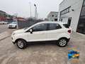 Ford EcoSport 1.0 ecoboost Titanium s/ruot.esterna 125cv Bianco - thumbnail 2