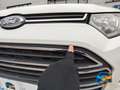 Ford EcoSport 1.0 ecoboost Titanium s/ruot.esterna 125cv Bianco - thumbnail 14