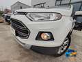 Ford EcoSport 1.0 ecoboost Titanium s/ruot.esterna 125cv Bianco - thumbnail 13