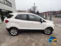 Ford EcoSport 1.0 ecoboost Titanium s/ruot.esterna 125cv Bianco - thumbnail 6