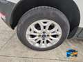 Ford EcoSport 1.0 ecoboost Titanium s/ruot.esterna 125cv Bianco - thumbnail 12