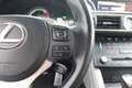 Lexus RC 300h Hybride F-Sport Line I Sterrenhemel! I Lane Keep A Rouge - thumbnail 23