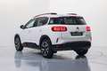 Citroen C5 Aircross PureTech S&S Shine 130 Blanco - thumbnail 17