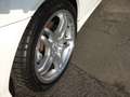 Mercedes-Benz CLK 55 AMG Cabrio Erstlack org.65tkm 2.Hd. Bestzustd rostfrei bijela - thumbnail 11