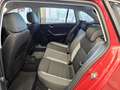 Skoda Rapid/Spaceback Tüv 06-2026 Rot - thumbnail 7