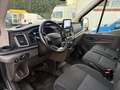 Ford Transit Kasten 350 L2 Limited Negru - thumbnail 13