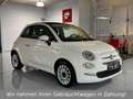 Fiat 500 *Cabrio*Euro6*Navi*PDC*TÜV* Weiß - thumbnail 3