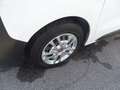 Fiat Scudo COIBENTATO CON FRIGORIFERO IN ATP PRONTA CONSEGNA Bianco - thumbnail 8