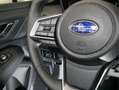 Subaru OUTBACK 2.5i 50Yr Edition ** NEW ** Eye-Sight / Navigatie Groen - thumbnail 22