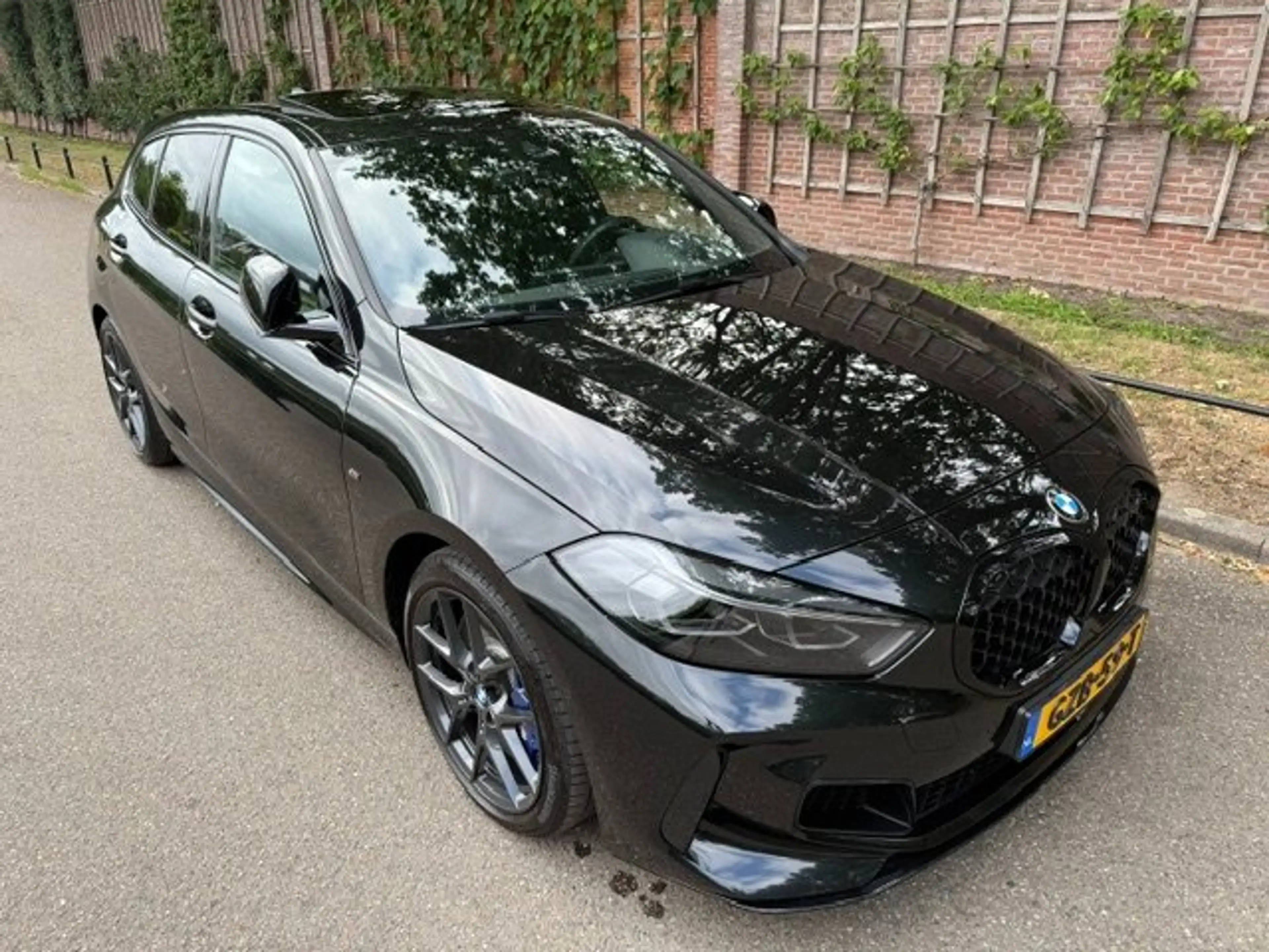 BMW 135 xD. High Exec — photo 9