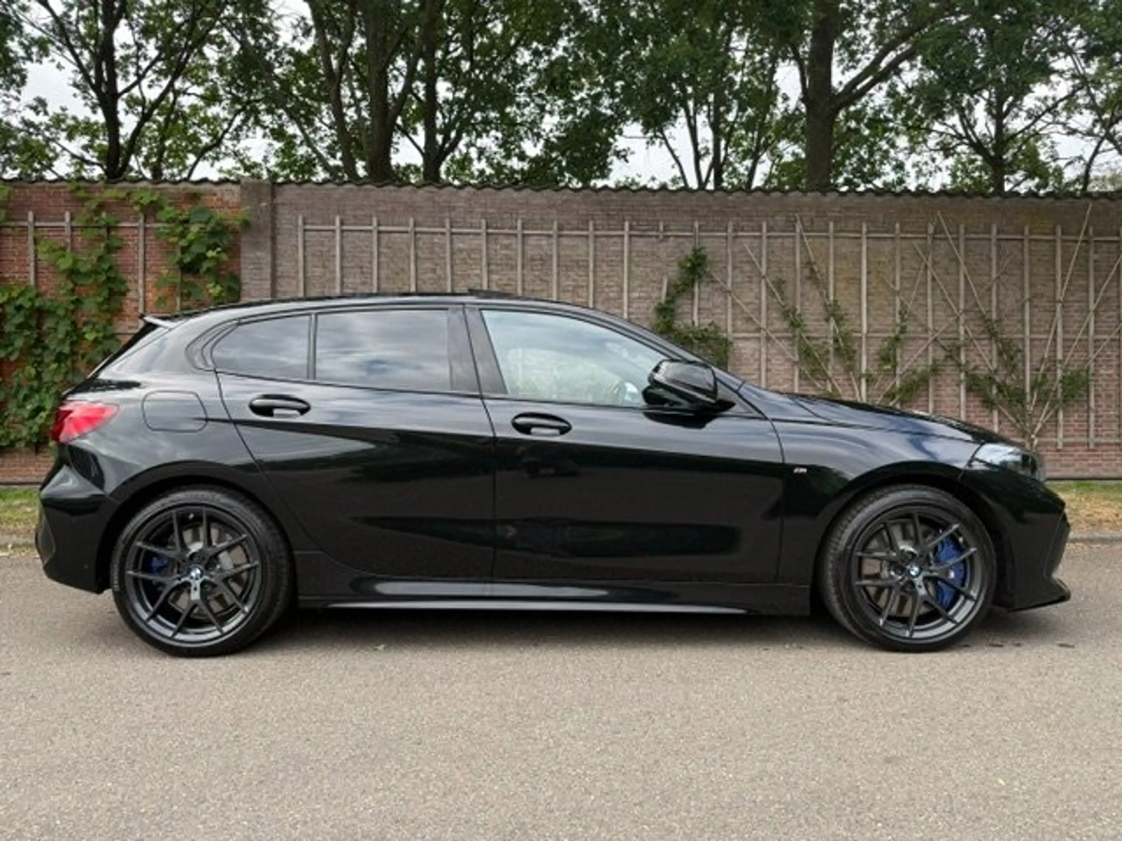 BMW 135 xD. High Exec — photo 7