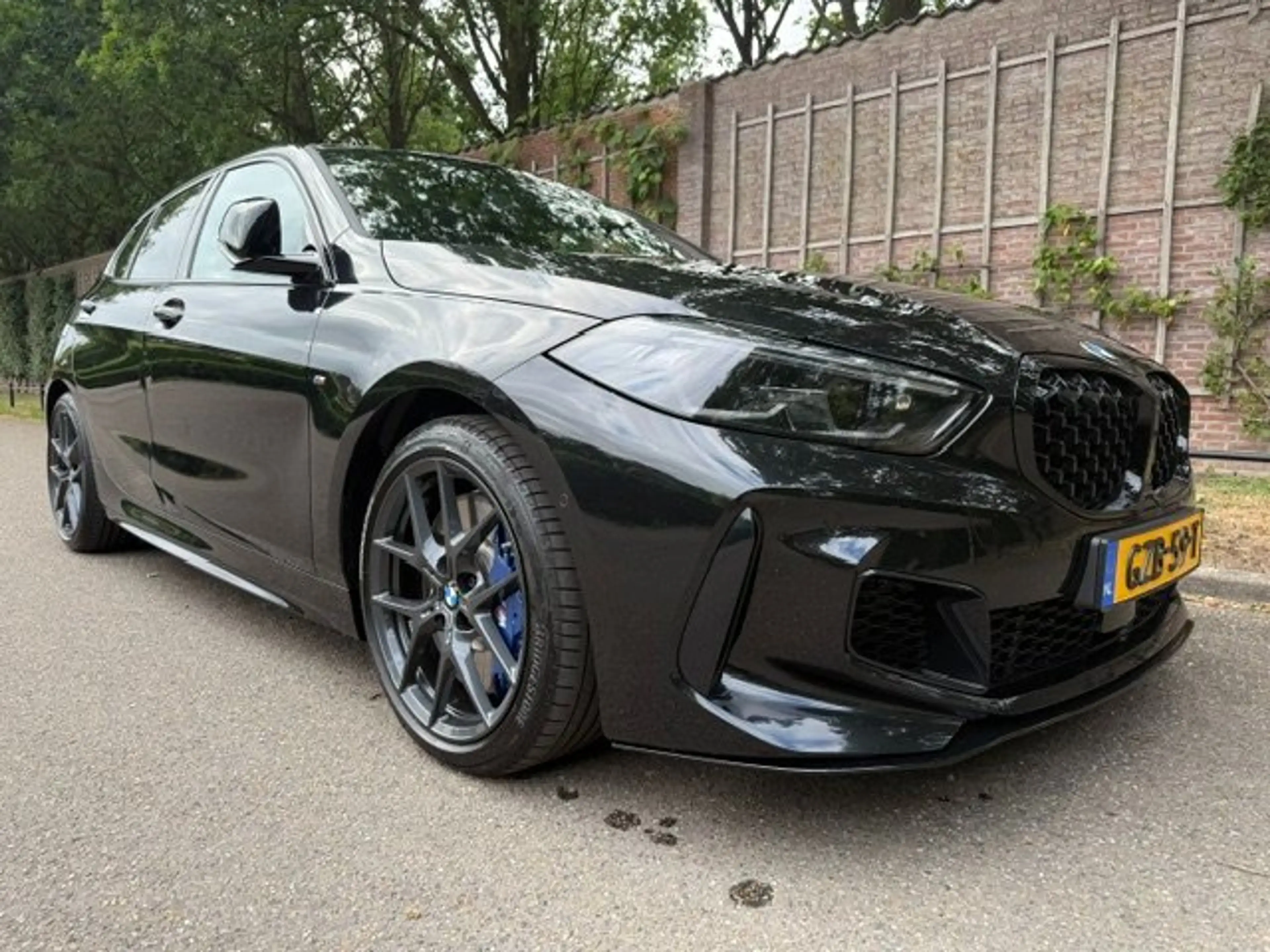 BMW 135 xD. High Exec — photo 8