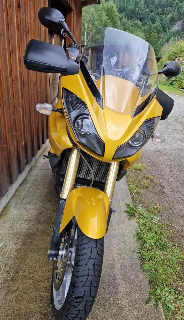 Triumph Tiger 1050 Jaune - 2