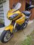 Triumph Tiger 1050 Jaune - thumbnail 3
