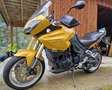 Triumph Tiger 1050 Jaune - thumbnail 1