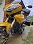 Triumph Tiger 1050 Jaune - thumbnail 4
