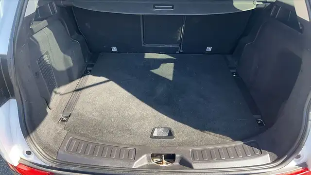 Land Rover Discovery view 14