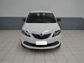 Lancia Ypsilon NEW My24 1.0 Firefly 70 CvStart&Stop Hybrid Oro Bianco - thumbnail 1