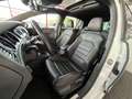 Volkswagen Golf 7 R 2,0 TSI 300 DSG6 4 MOTION TOIT PANORAMIQUE GPS REGULATEUR LIMITEUR DRIVE SELECT FEUX BI-XEN Blanc - thumbnail 6