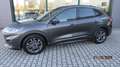 Ford Kuga 1.5 EcoBlue 120 CV 2WD ST-Line Grau - thumbnail 1