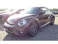 Volkswagen Beetle 2.0 TDI Sound Design DSG Navi PDC CD Brązowy - thumbnail 7