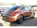 Volkswagen Beetle 2.0 TDI Sound Design DSG Navi PDC CD Brązowy - thumbnail 8