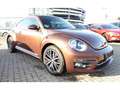 Volkswagen Beetle 2.0 TDI Sound Design DSG Navi PDC CD Brązowy - thumbnail 1