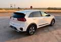Kia Niro 1.6 HEV Drive Blanco - thumbnail 10