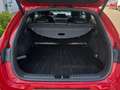 Kia ProCeed / pro_cee'd 1.5 T-GDI 160ch GT Line Premium DCT7 Roşu - thumbnail 4