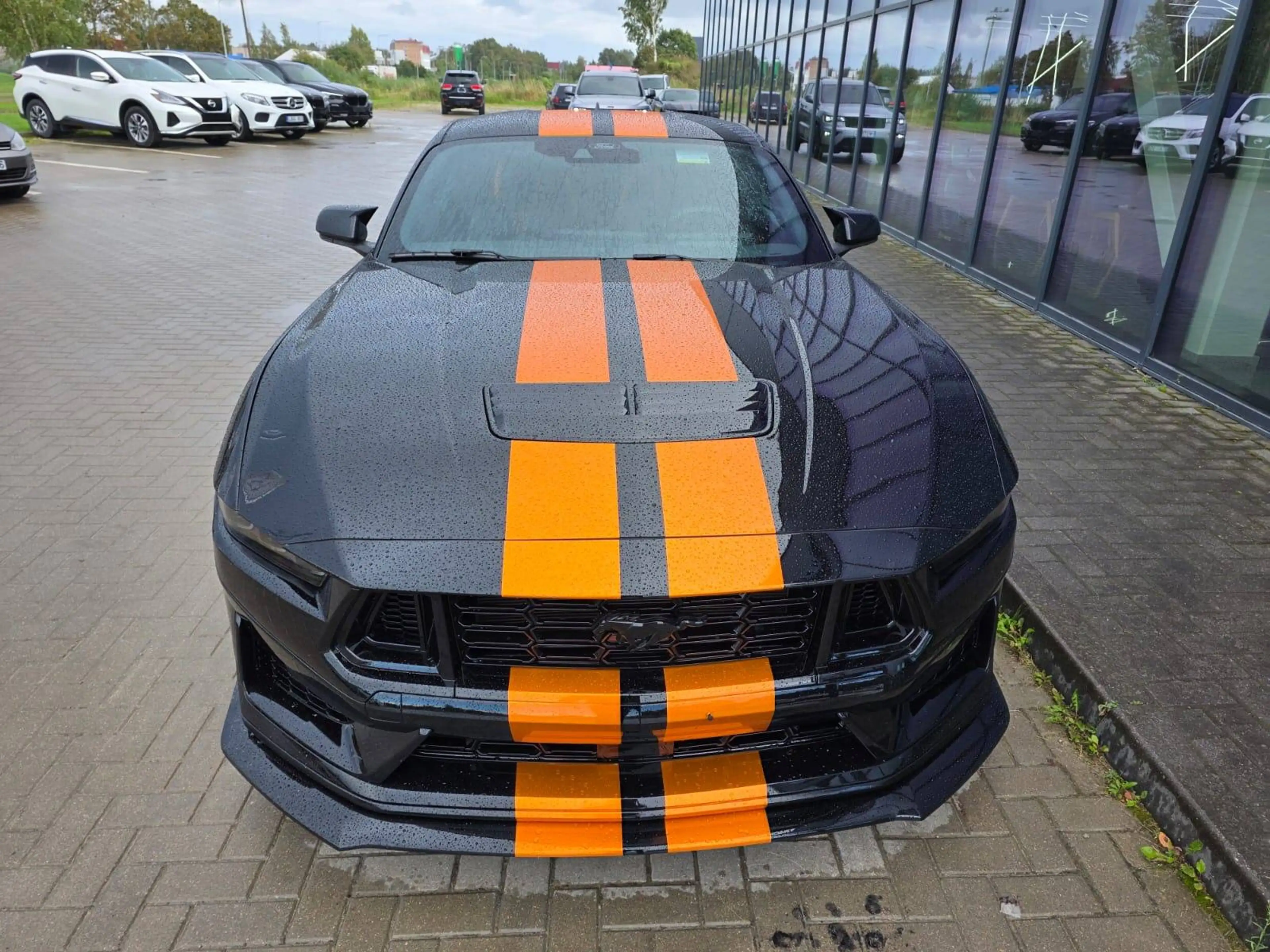 Ford Mustang 2024er Coupe 2.3 Ecob. Leder NAVI Tuning