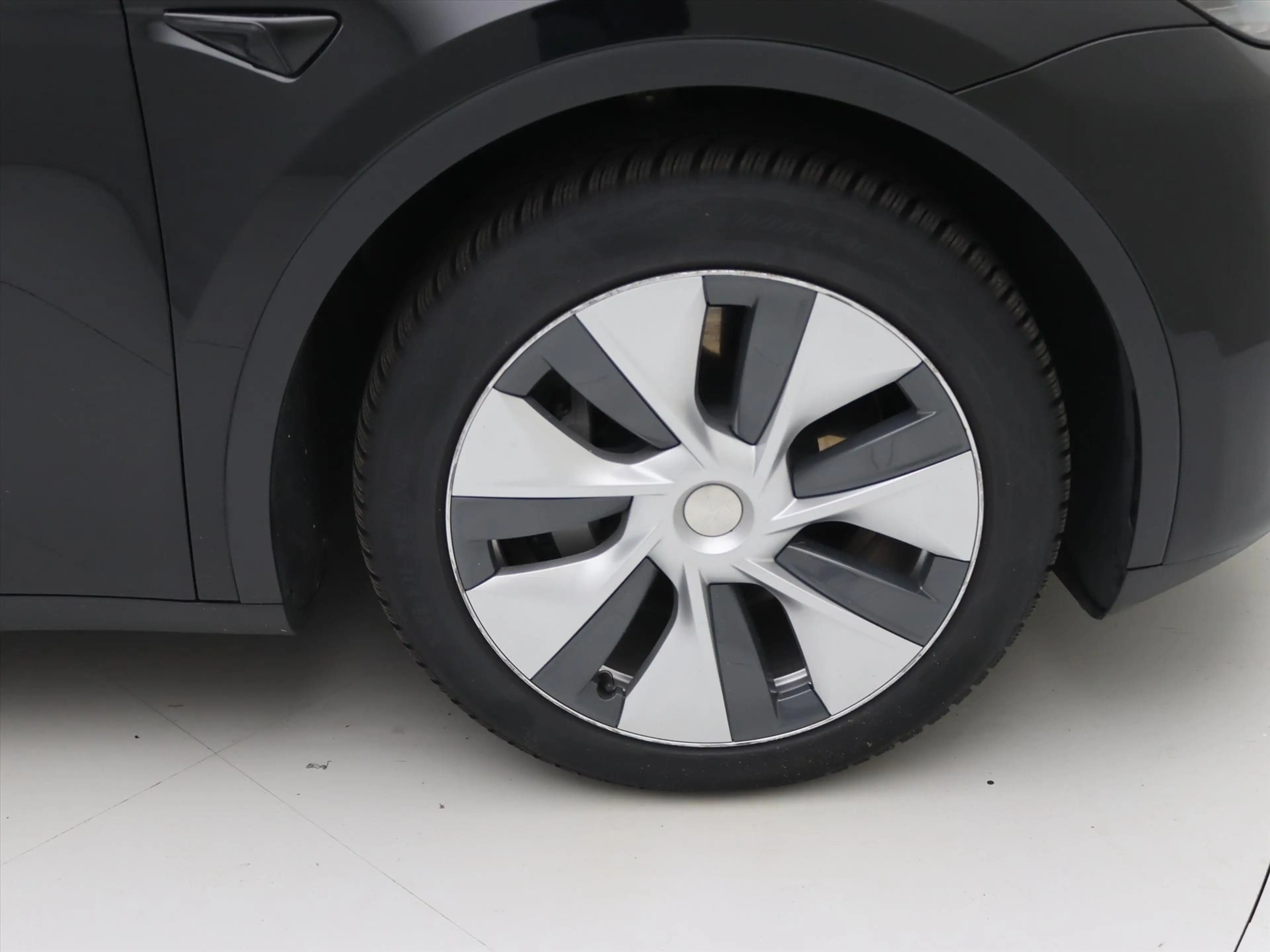 Tesla Model Y Standard RWD Plus [ AMD RYZEN+AUTOPILOT+19 INCH+PR — photo 11