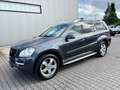 Mercedes-Benz GL 450 GL-450 CDI 4Matik  Navi-Multimedia/7-Sitze/AHK Gris - thumbnail 11