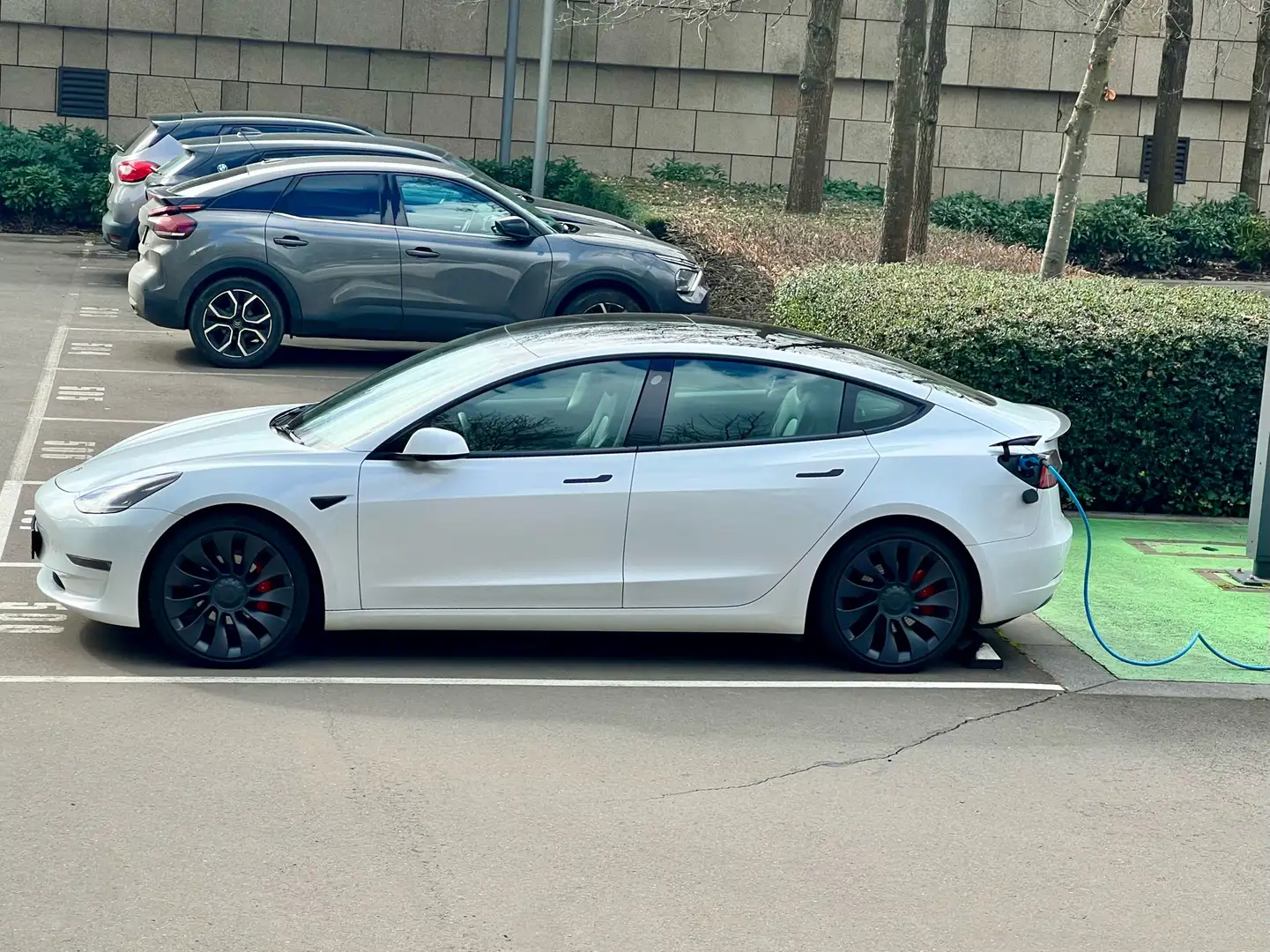 Tesla Model 3 Model 3 Performance Blanc - 1