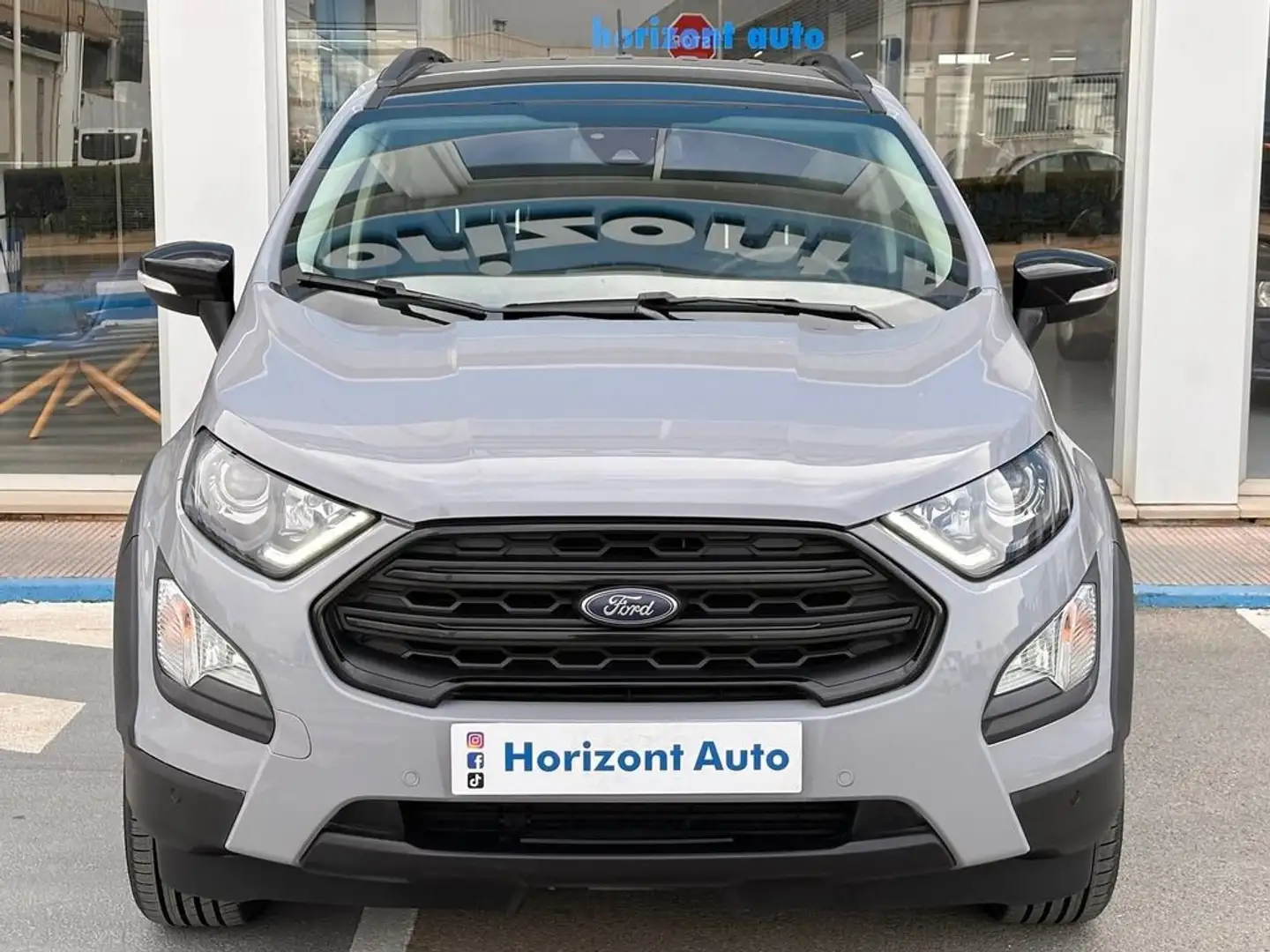 Ford EcoSport Active Gris - 1