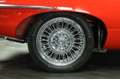 Sonstige Marken Wildcat Roadster, ähnlich Jaguar E Type Roadster Rot - thumbnail 35