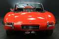 Sonstige Marken Wildcat Roadster, ähnlich Jaguar E Type Roadster Rot - thumbnail 4