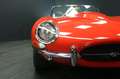 Sonstige Marken Wildcat Roadster, ähnlich Jaguar E Type Roadster Rot - thumbnail 39